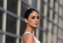Heart Evangelista Net Worth