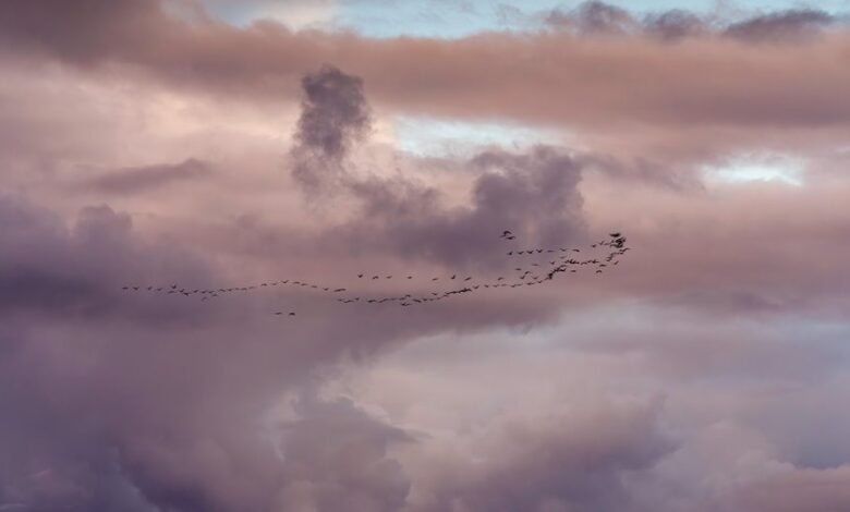 analyzing mobile call patterns