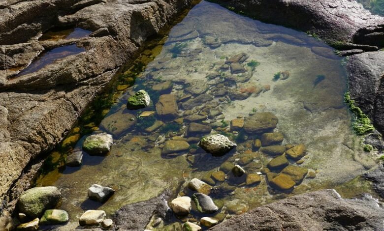 call source network analysis