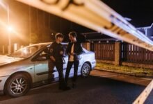 fraud detection reporting numbers