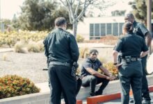 safety verification enforcement group