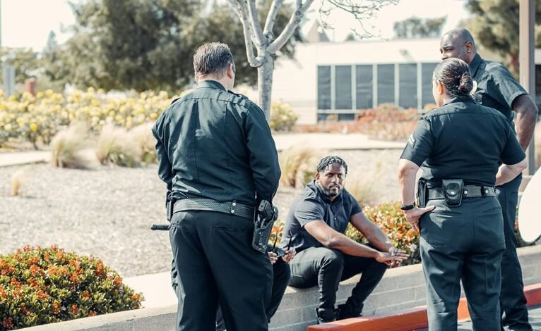 safety verification enforcement group