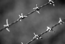 telecommunication oversight division numbers