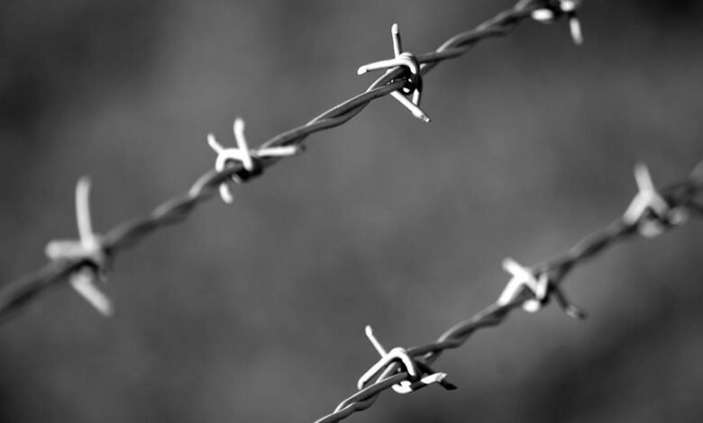 telecommunication oversight division numbers