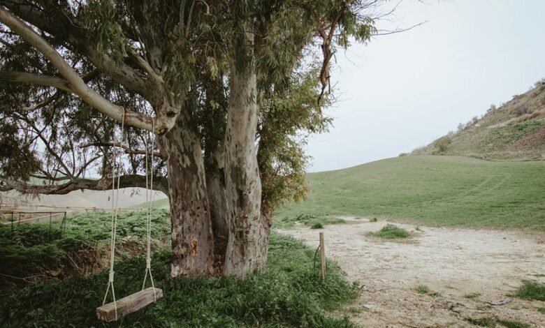 explore earning opportunities online